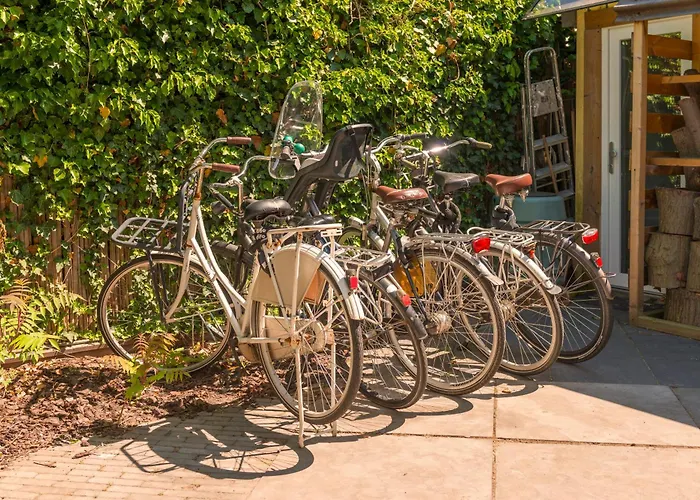 Cozy House - fietsverhuur, eigen keuken en badkamer